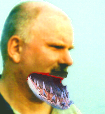 Paanse brug Overschie Nagedi